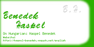 benedek haspel business card